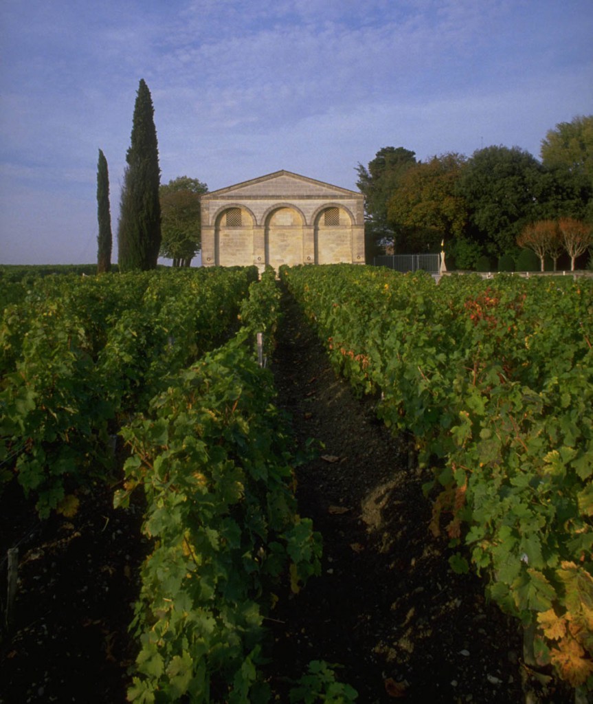 1989, Pauillac, France --- Vineyards at Chateau Mouton-Rothschild --- Image by © Robert Holmes/CORBIS