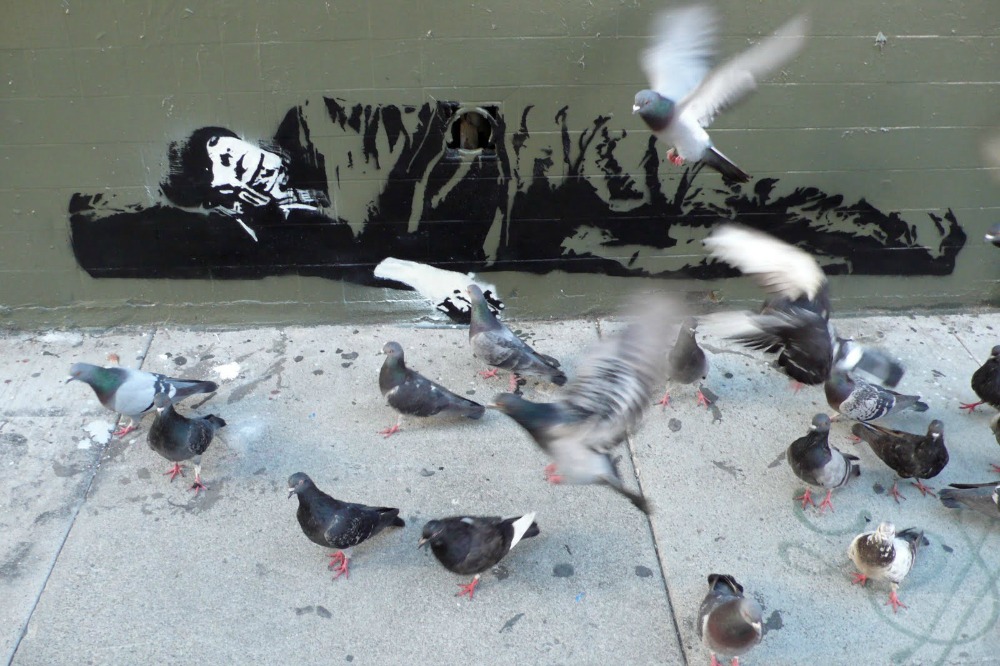 blak_le_rat_pigeons
