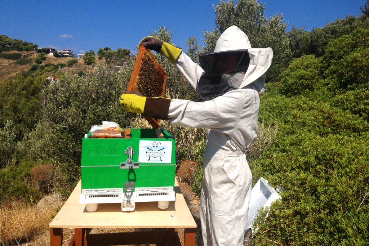 Η 14χρονη μελισσοκόμος | Andro