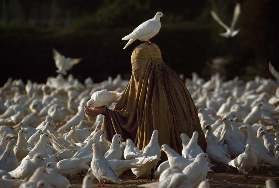 Pigeon Feeding near Blue Mosque, Mazar i Sharif, Afghanistan, 1991, final print_milan