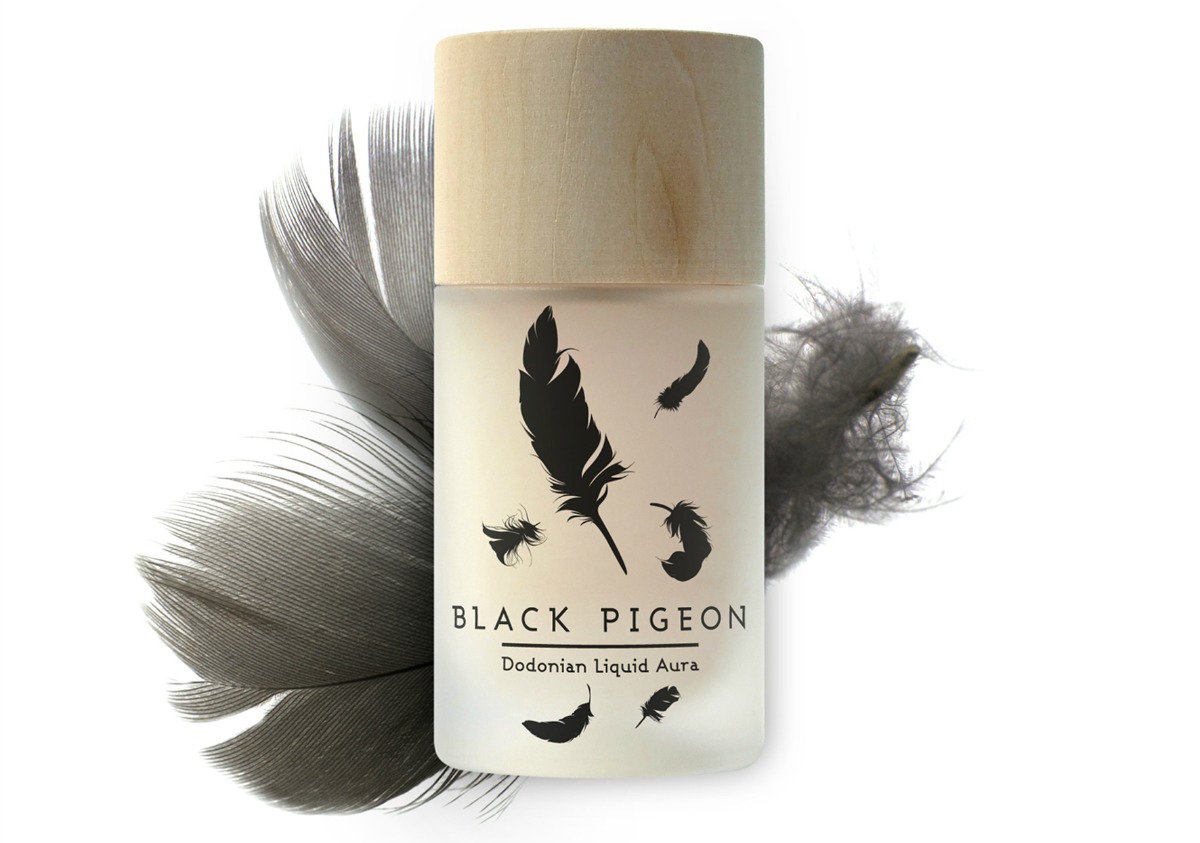 black-pigeon-b