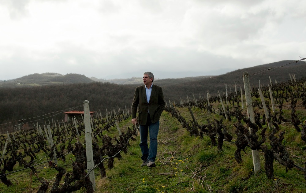 Naousa, Greece 2015 Stelios Boutaris, the managing director and owner of KIR-YIANNI vineyards in up Northern Greece.