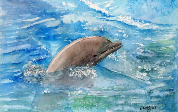 Οι ποιητές για το δελφίνι