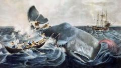 170 χρόνια «Μόμπι Ντικ»: ο άνθρωπος μπροστά στο φόβο, τη φύση και το πεπρωμένο του