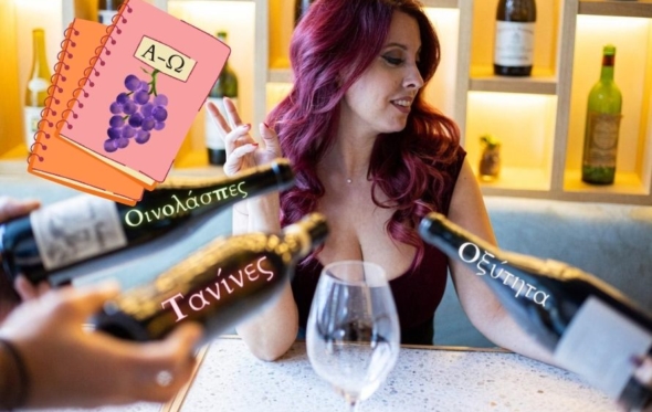 Βιξενικό λεξικό οίνου: μάθε μπαλίτσα από την Wine Vixen