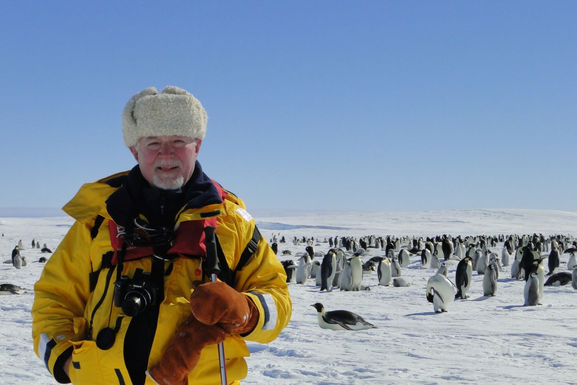 Στη θάλασσα του Γουέντελ, στην Ανταρκτική: εδώ υπάρχει μια από τις μεγαλύτερες αποικίες αυτοκρατορικών πιγκουίνων στον πλανήτη.